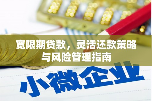 三角宽限期贷款，灵活还款策略与风险管理指南