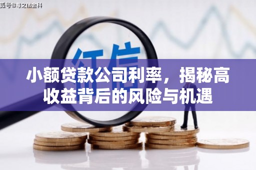 三角小额贷款公司利率，揭秘高收益背后的风险与机遇