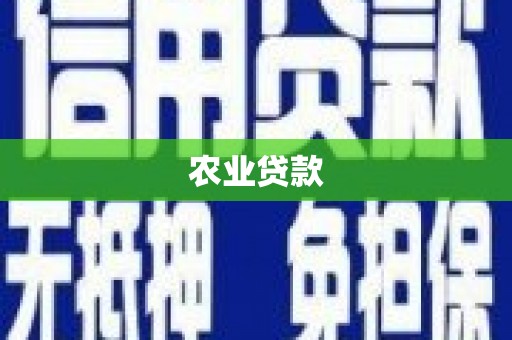 三角农业贷款