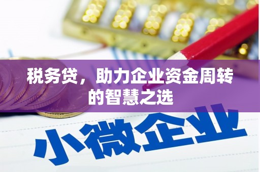 三角税务贷，助力企业资金周转的智慧之选