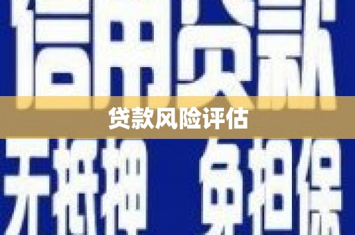 三角贷款风险评估