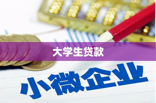 三角大学生贷款
