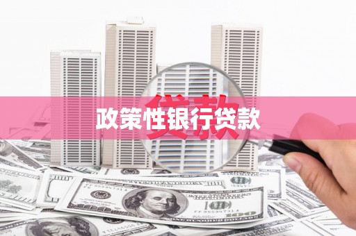 三角政策性银行贷款