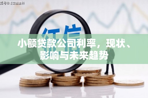 三角小额贷款公司利率，现状、影响与未来趋势