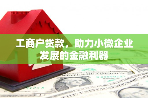 三角工商户贷款，助力小微企业发展的金融利器