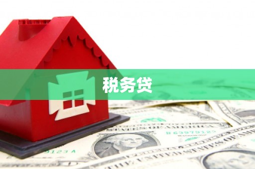 三角税务贷