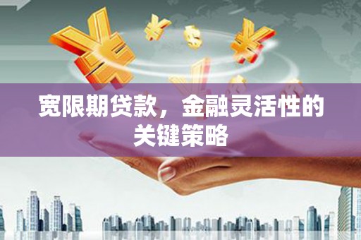 三角宽限期贷款，金融灵活性的关键策略