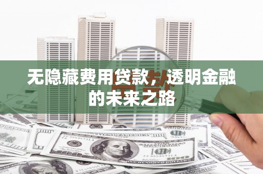 三角无隐藏费用贷款，透明金融的未来之路