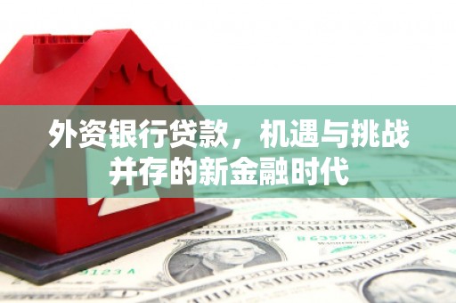 三角外资银行贷款，机遇与挑战并存的新金融时代