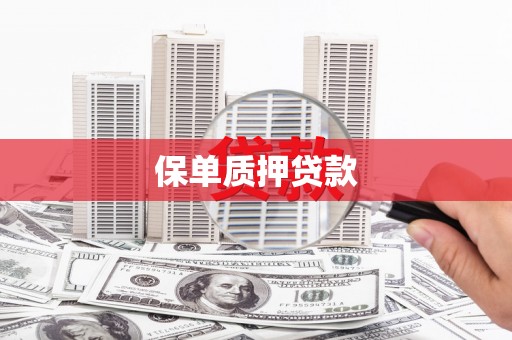 三角保单质押贷款