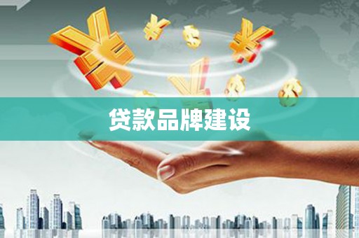 三角贷款品牌建设