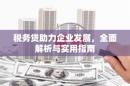 三角税务贷助力企业发展，全面解析与实用指南