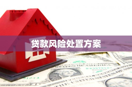 三角贷款风险处置方案