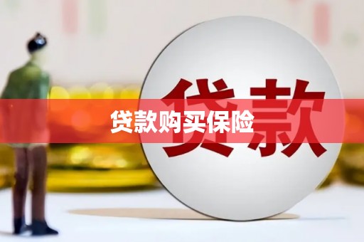 三角贷款购买保险