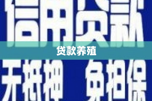 三角贷款养殖