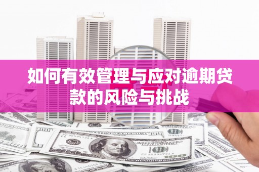 三角如何有效管理与应对逾期贷款的风险与挑战