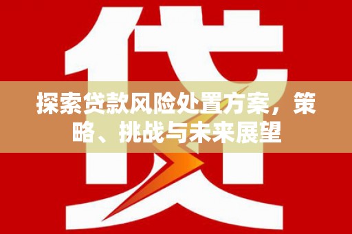三角探索贷款风险处置方案，策略、挑战与未来展望