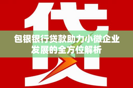 三角包银银行贷款助力小微企业发展的全方位解析 三角包银银行贷款助力小微企业发展的全方位解析