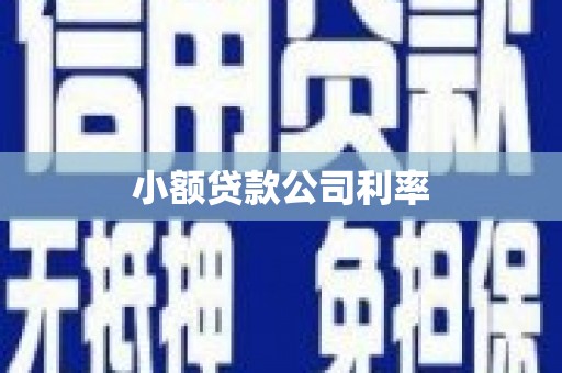 三角小额贷款公司利率