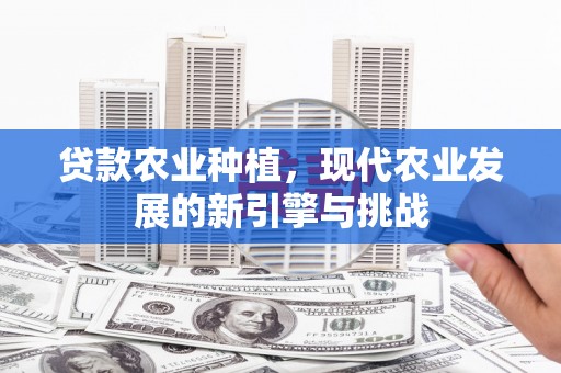 三角贷款农业种植，现代农业发展的新引擎与挑战