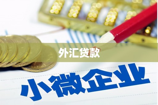 三角外汇贷款
