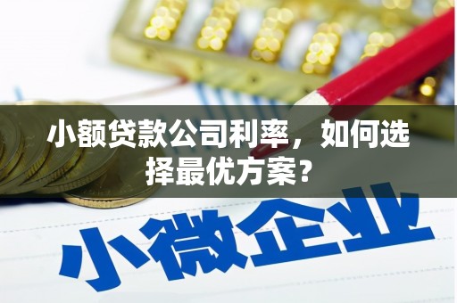 三角小额贷款公司利率，如何选择最优方案？