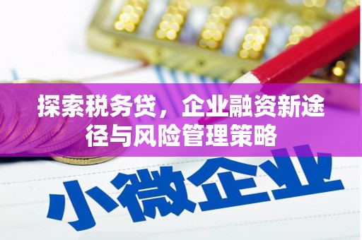 三角探索税务贷，企业融资新途径与风险管理策略