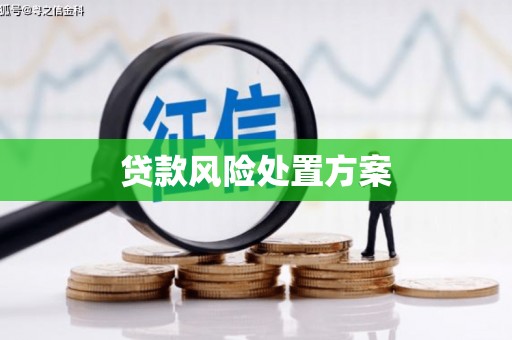 三角贷款风险处置方案