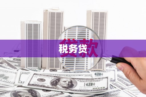 三角税务贷