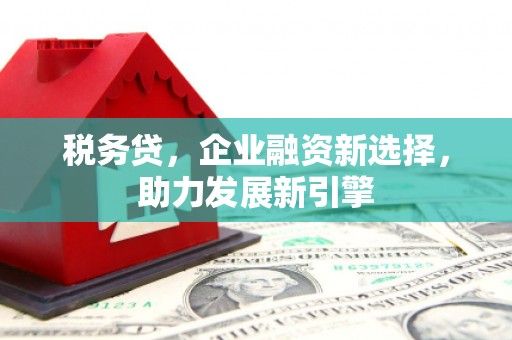 三角税务贷，企业融资新选择，助力发展新引擎