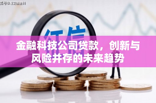 三角金融科技公司贷款，创新与风险并存的未来趋势