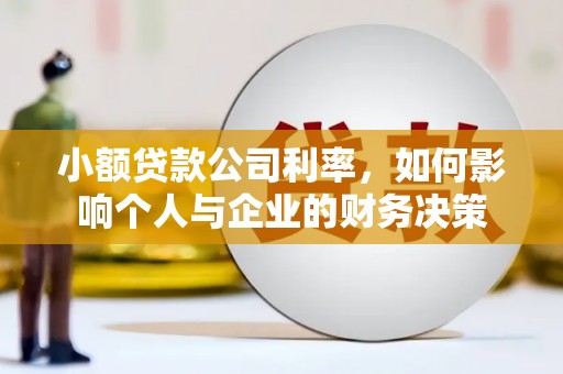三角小额贷款公司利率，如何影响个人与企业的财务决策