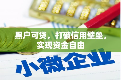 三角黑户可贷，打破信用壁垒，实现资金自由