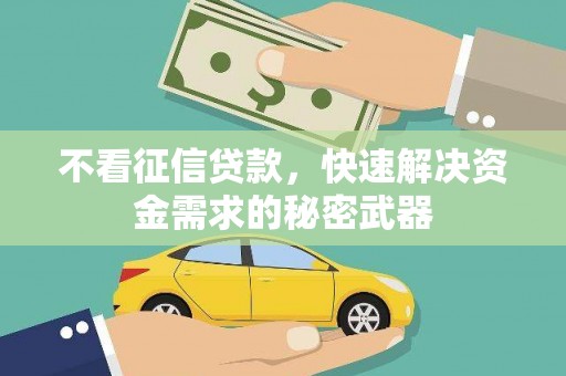 三角不看征信贷款，快速解决资金需求的秘密武器