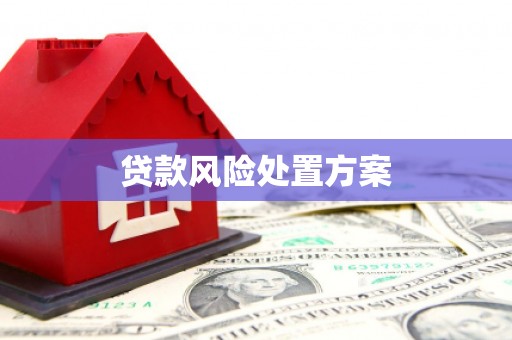 三角贷款风险处置方案