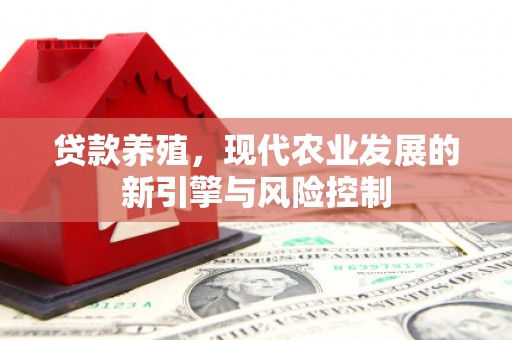 三角贷款养殖，现代农业发展的新引擎与风险控制
