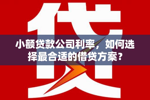 三角小额贷款公司利率，如何选择最合适的借贷方案？