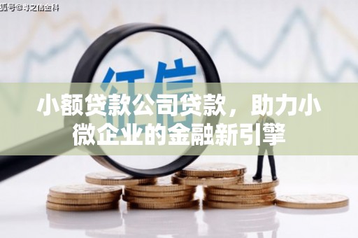 三角小额贷款公司贷款，助力小微企业的金融新引擎