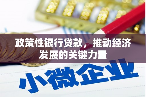 三角政策性银行贷款，推动经济发展的关键力量