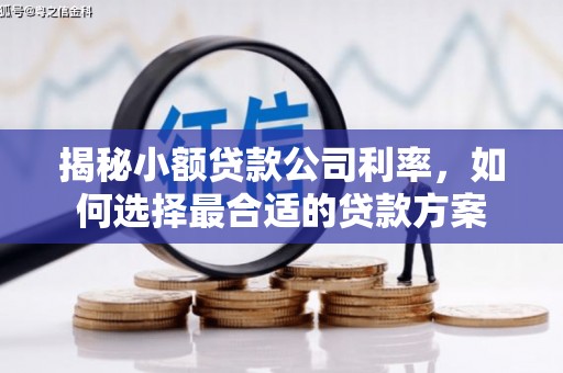 三角揭秘小额贷款公司利率，如何选择最合适的贷款方案
