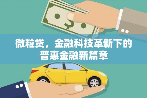 三角微粒贷，金融科技革新下的普惠金融新篇章