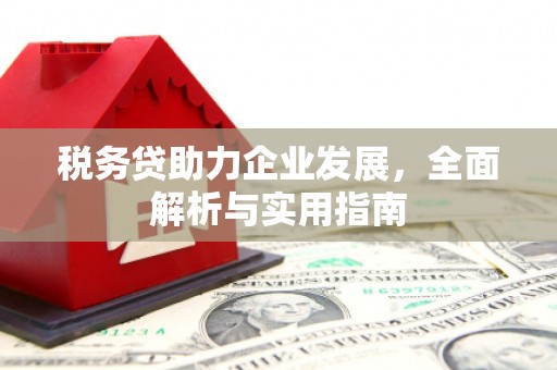 三角税务贷助力企业发展，全面解析与实用指南