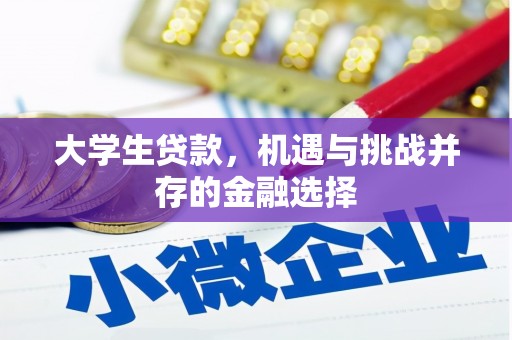 三角大学生贷款，机遇与挑战并存的金融选择