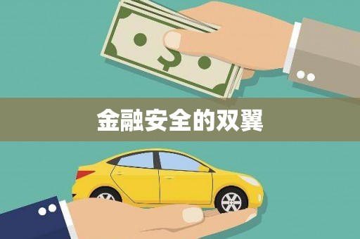 三角金融安全的双翼