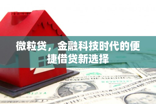 三角微粒贷，金融科技时代的便捷借贷新选择