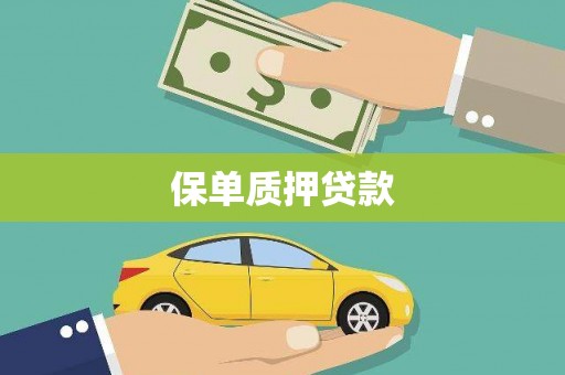 三角保单质押贷款