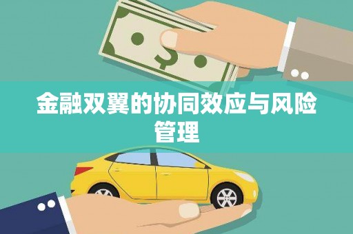 三角金融双翼的协同效应与风险管理