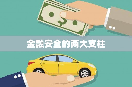三角金融安全的两大支柱